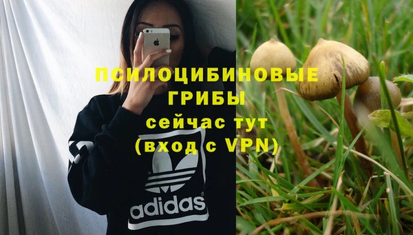 2c-b Беломорск