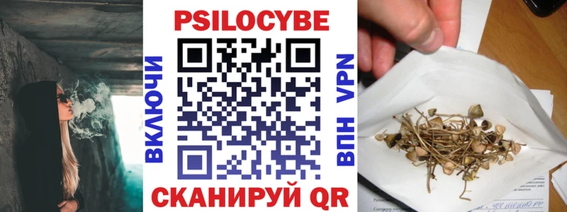 Галлюциногенные грибы Psilocybine cubensis  мориарти формула  Ковылкино  как найти закладки 